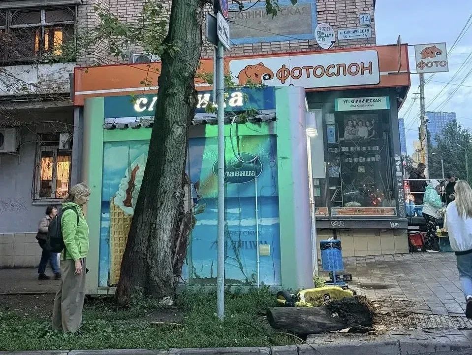В Самаре на 13-летнюю школьницу рухнуло дерево