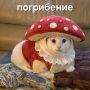 Тихая охота заставляет самарцев идти в чащу леса