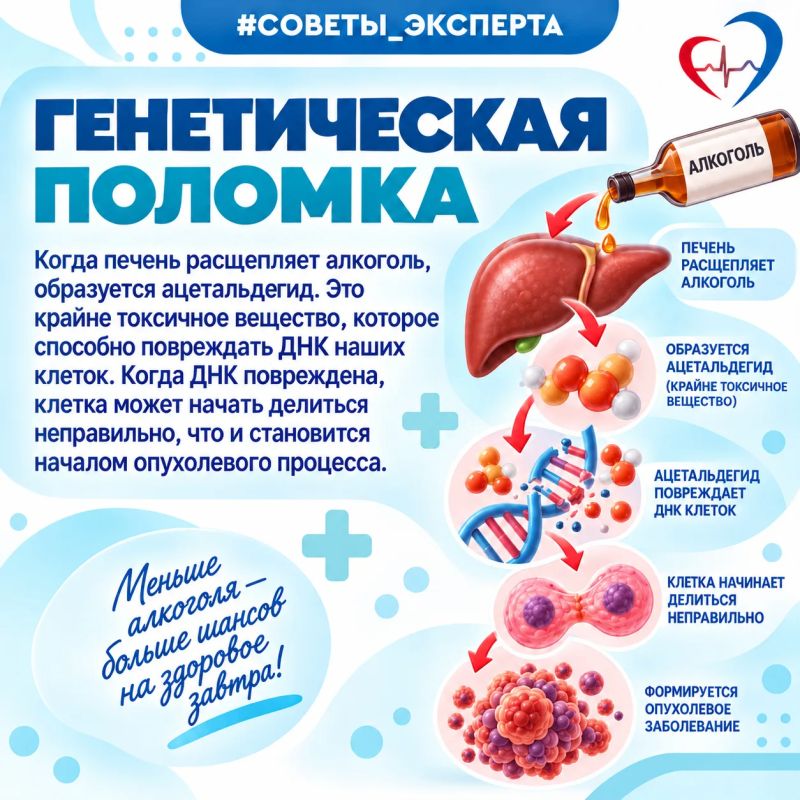 Специалист: "Даже небольшие дозы алкоголя, употребляемые регулярно, повышают статистический риск развития рака" Специалист: "Даже небольшие дозы алкоголя, употребляемые регулярно, повышают статистический риск развития рака"
