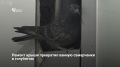 Жительница дома на улице Спортивной в Самаре пожаловалась Народному фронту на последствия ремонта крыши: из-за дефектов дымохода в ее ванную дважды залетали голуби