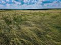 Специалисты ведут натурное обследование новых памятников природы