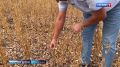 Традиционно подводим итоги недели