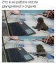 Доброе утро, друзья!. Сегодня ожидается переменная облачность, преимущественно без осадков, утром местами туман
