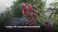 13 сентября Самаре исполнилось 440 лет