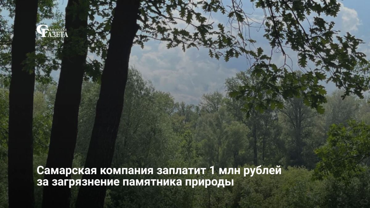 Арбитражный суд Самарской области обязал ресурсоснабжающую компанию возместить ущерб за загрязнение сточными водами 720 кв. м почвы в памятнике природы «Древостой дуба»