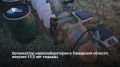 Житель Тольятти получил 15,5 лет колонии строгого режима за организацию нарколаборатории в Ставропольском районе