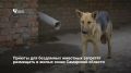 С 1 марта 2027 года в Самарской области вступит в силу запрет на размещение новых приютов для бездомных животных на территориях жилой застройки