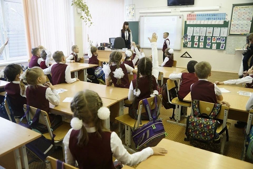 Дроппинг, вербовка и «правила трех О»: для юных самарцев провели уроки безопасности