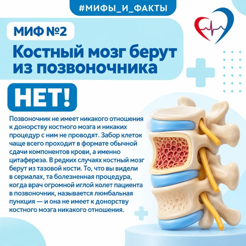 ТОП-10 мифов о донорстве костного мозга ТОП-10 мифов о донорстве костного мозга