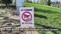 Фонтан открыт, газон... затоптан
