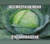 Чудо-овощи, уникальные удобрения и полные грядки