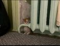 Готовим теплую одежду: в Самарской области похолодает до -2 градусов