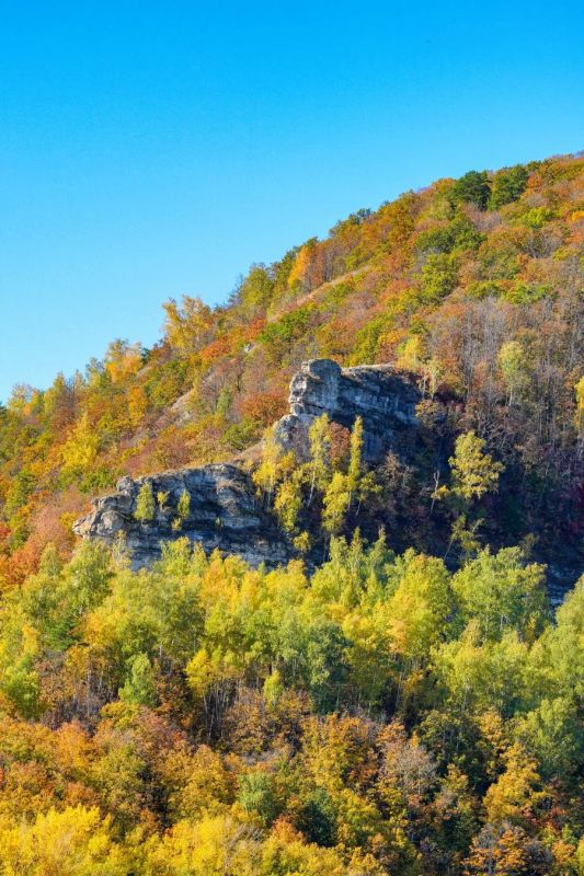 Гора Верблюд в нацпарке «Самарская Лука» Гора Верблюд в нацпарке «Самарская Лука»