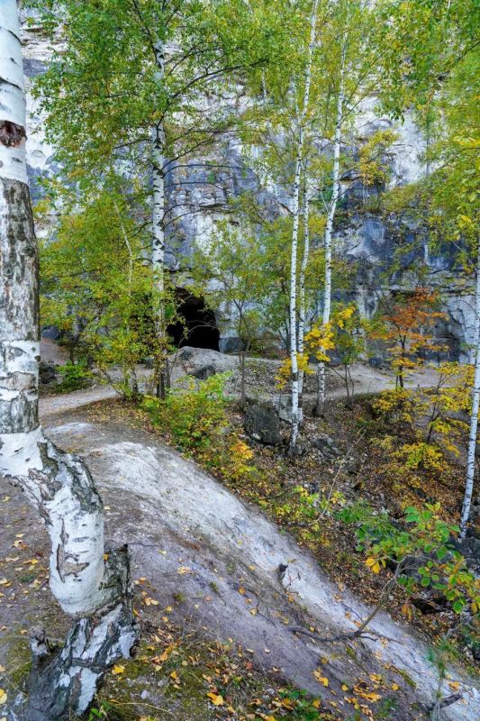 Гора Верблюд в нацпарке «Самарская Лука» Гора Верблюд в нацпарке «Самарская Лука»
