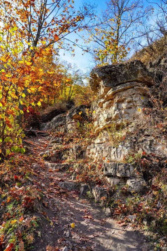 Гора Верблюд в нацпарке «Самарская Лука» Гора Верблюд в нацпарке «Самарская Лука»