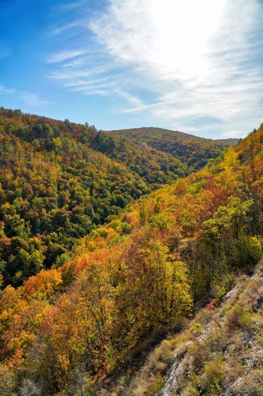 Гора Верблюд в нацпарке «Самарская Лука» Гора Верблюд в нацпарке «Самарская Лука»