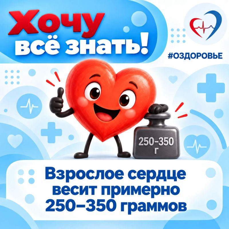 10 интересных фактов о сердечно-сосудистой системе 10 интересных фактов о сердечно-сосудистой системе
