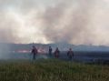 Пожар на прилегающей к Безенчукскому лесничеству территории ликвидирован, сообщили в Минприроды Самарской области