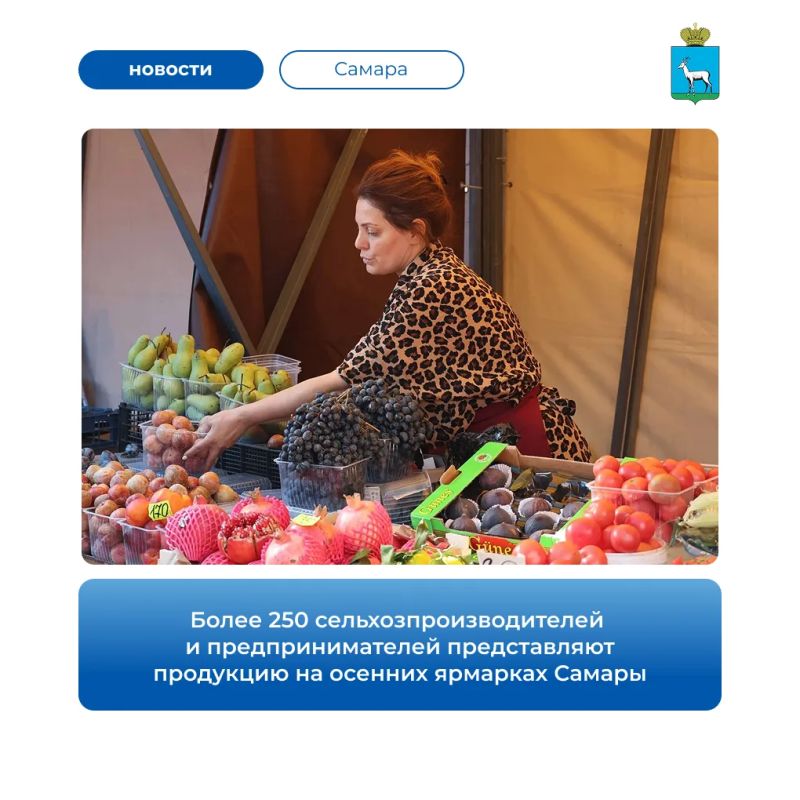 В Самаре продолжается сезон осенних сельскохозяйственных ярмарок