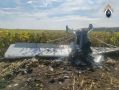 Легкомоторный самолет упал в зоне ответственности Самарского РЦ ЕС