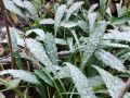 Из +20 в -5 °С: в выходные в Самарской области выпадет первый снег