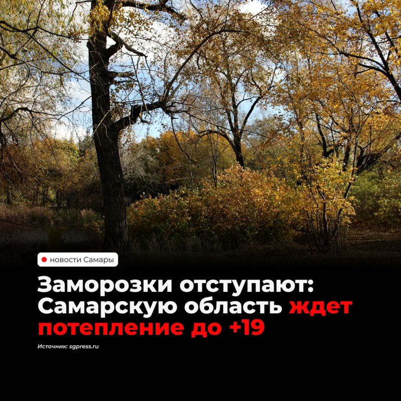 После холодных выходных с мокрым снегом в Самарскую область возвращается тепло