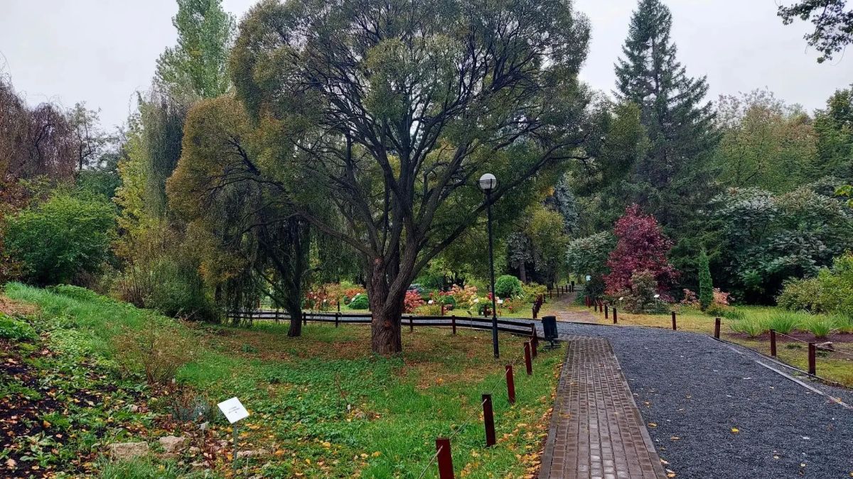 Самарцам рассказали, когда вновь потеплеет до +18 °C