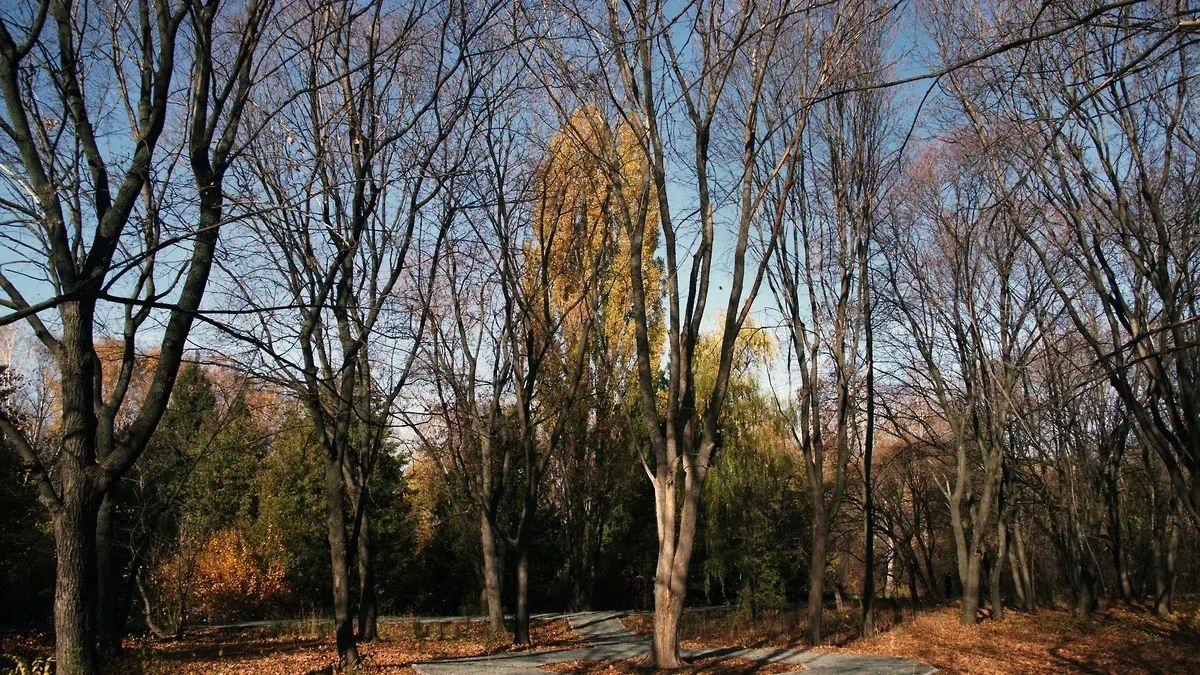 Самарский ботанический сад с 5 октября перешел на новый режим работы