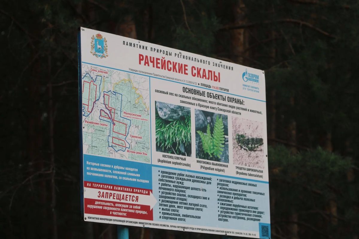 На памятнике природы «Рачейские скалы» планируется создание официального маршрута На памятнике природы «Рачейские скалы» планируется создание официального маршрута