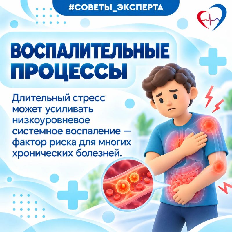Врач рассказал, как стресс действует на здоровье и почему им важно управлять Врач рассказал, как стресс действует на здоровье и почему им важно управлять
