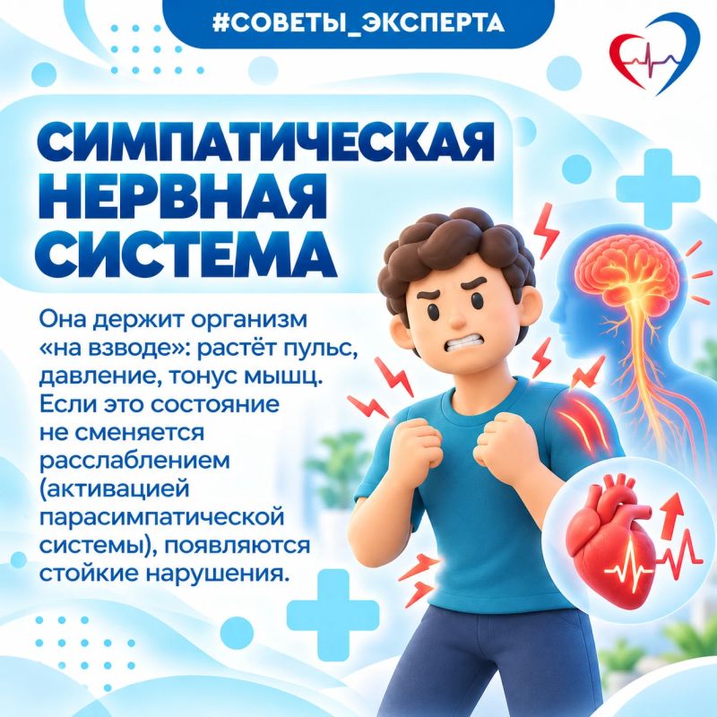 Врач рассказал, как стресс действует на здоровье и почему им важно управлять Врач рассказал, как стресс действует на здоровье и почему им важно управлять