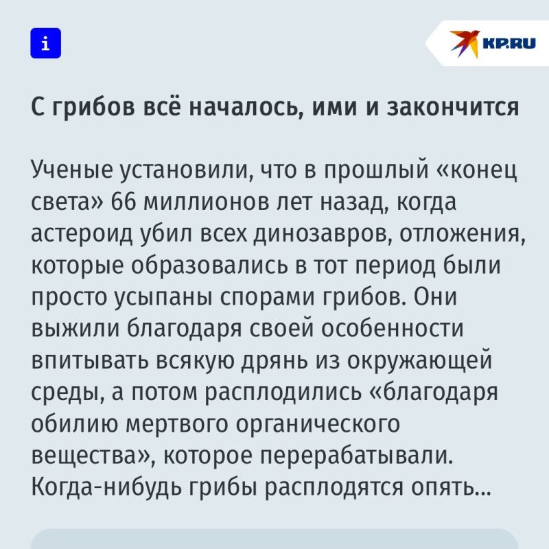 Люди все-таки произошли от грибов Люди все-таки произошли от грибов