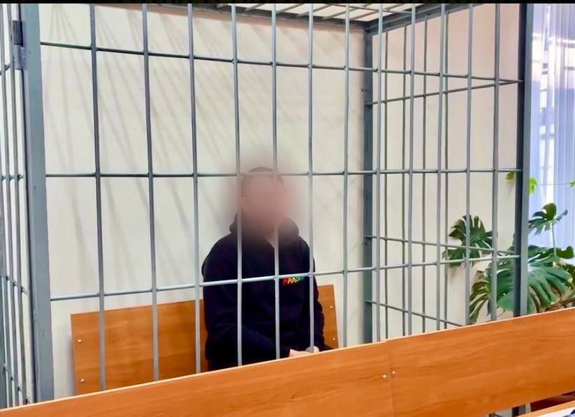 По ходатайству следователя фигуранту судом избрана мера пресечения в виде заключения под стражу сроком на 2 месяца и предъявлено обвинение в совершении преступлений, предусмотренных ст. 156 УК РФ (неисполнение обязанности по...