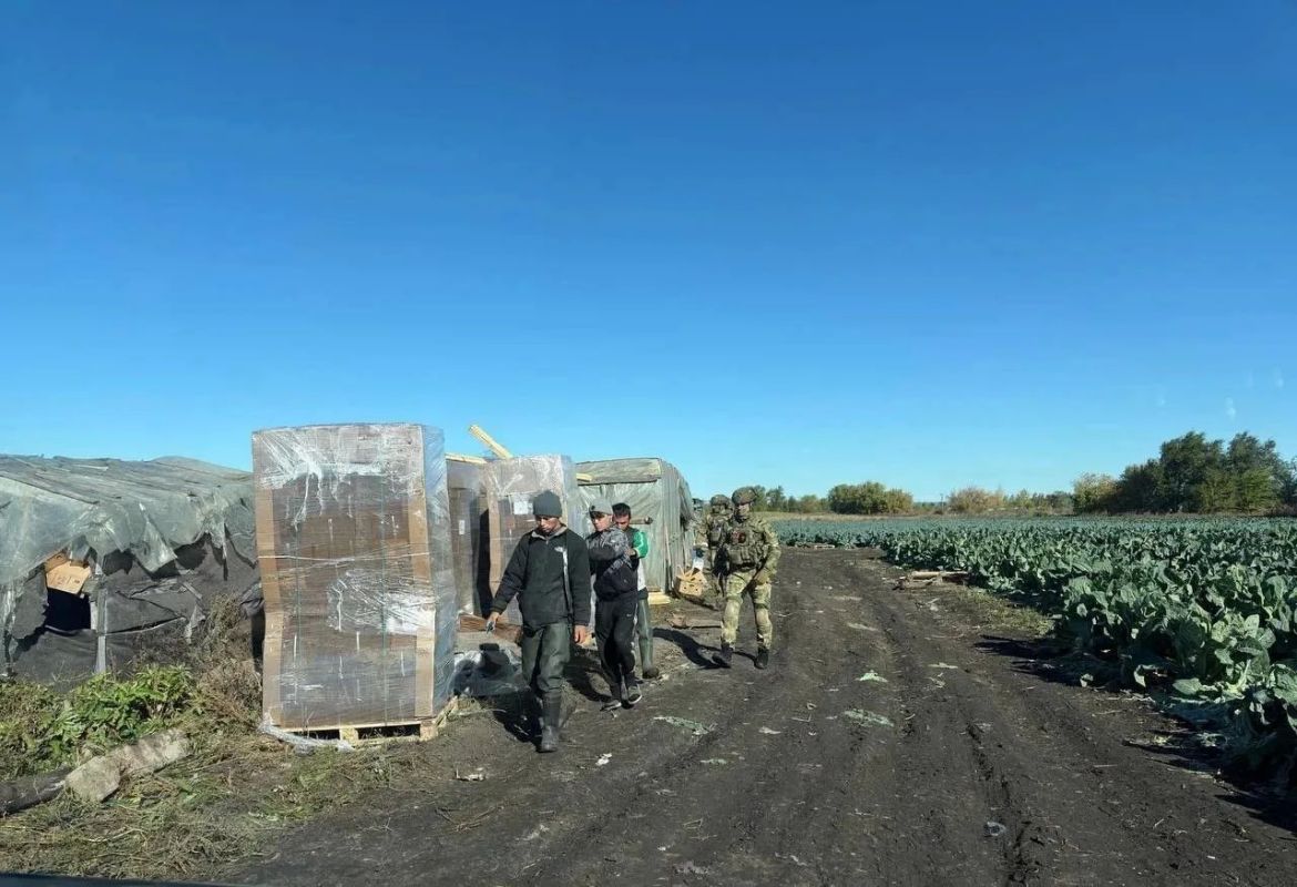 В Самарской области бойцы спецподразделений Росгвардии принимают участие в операции «Нелегал – 2026» В Самарской области бойцы спецподразделений Росгвардии принимают участие в операции «Нелегал – 2026»