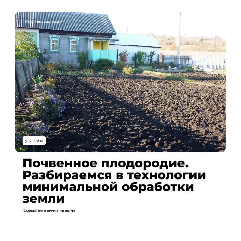 Овощи собраны, освобождаем огород от растительных остатков и готовим к уходу в зиму
