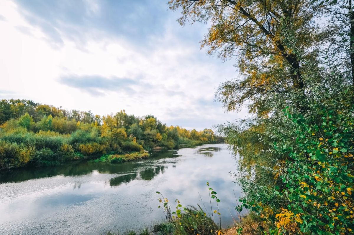 Река Самара и руины водяной механической мельницы купца Павла Шихобалова на берегу Река Самара и руины водяной механической мельницы купца Павла Шихобалова на берегу