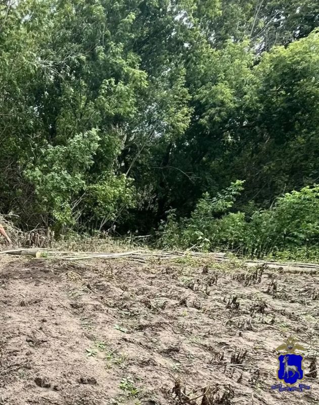 В Приволжском районе в суд направлено уголовное дело, возбужденное в отношении местного жителя, задержанного полицейскими по подозрению в незаконном хранении и культивировании наркосодержащих растений В Приволжском районе в суд направлено уголовное дело, возбужденное в отношении местного жителя, задержанного полицейскими по подозрению в незаконном хранении и культивировании наркосодержащих растений