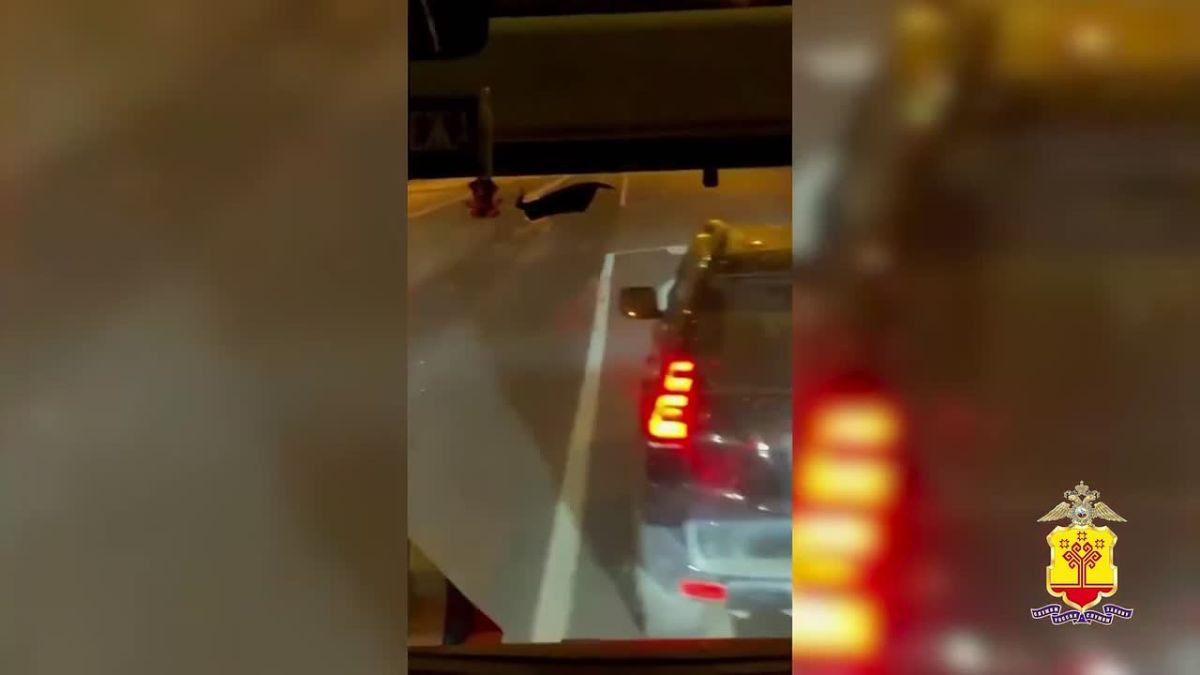 Участников дорожного конфликта с болельщиками футбольной команды из Москвы установили и привлекли к ответственности в Чувашии