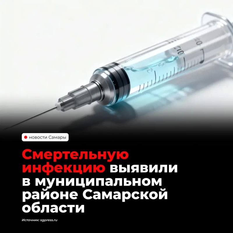 В селе Воротнее Сергиевского района Самарской области объявили карантин по бешенству