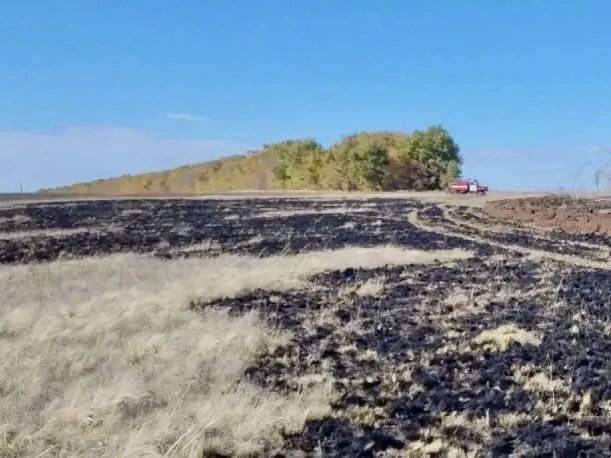 В Большеглушицком районе ликвидирован лесной пожар В Большеглушицком районе ликвидирован лесной пожар