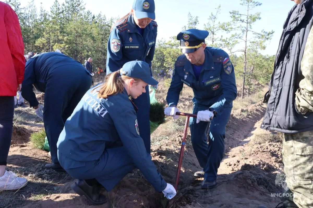 «Сотрудники МЧС России внесли вклад в восстановление леса — и отметили 185 летие Самарской пожарной охраны» «Сотрудники МЧС России внесли вклад в восстановление леса — и отметили 185 летие Самарской пожарной охраны»