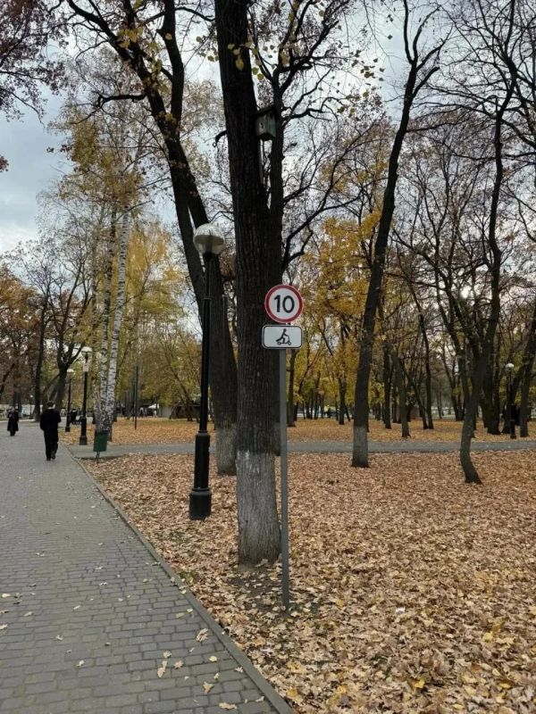 В парке Гагарина установили таблички с лимитом скорости для самокатов