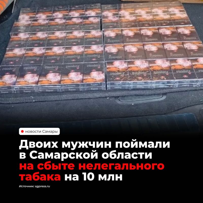 Двоих жителей Самарской области задержали за сбыт немаркированной табачной продукции в особо крупном размере — на 10 млн рублей