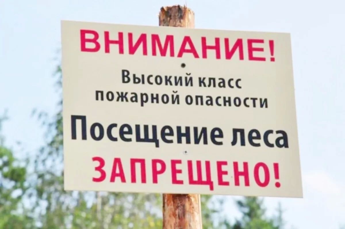 В Самарской области запретили вход в леса до конца октября