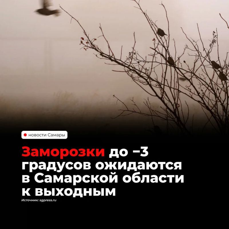 С 23 по 25 октября в Самарской области ночью ожидаются заморозки до 3 °C, сообщили в Приволжском УГМС