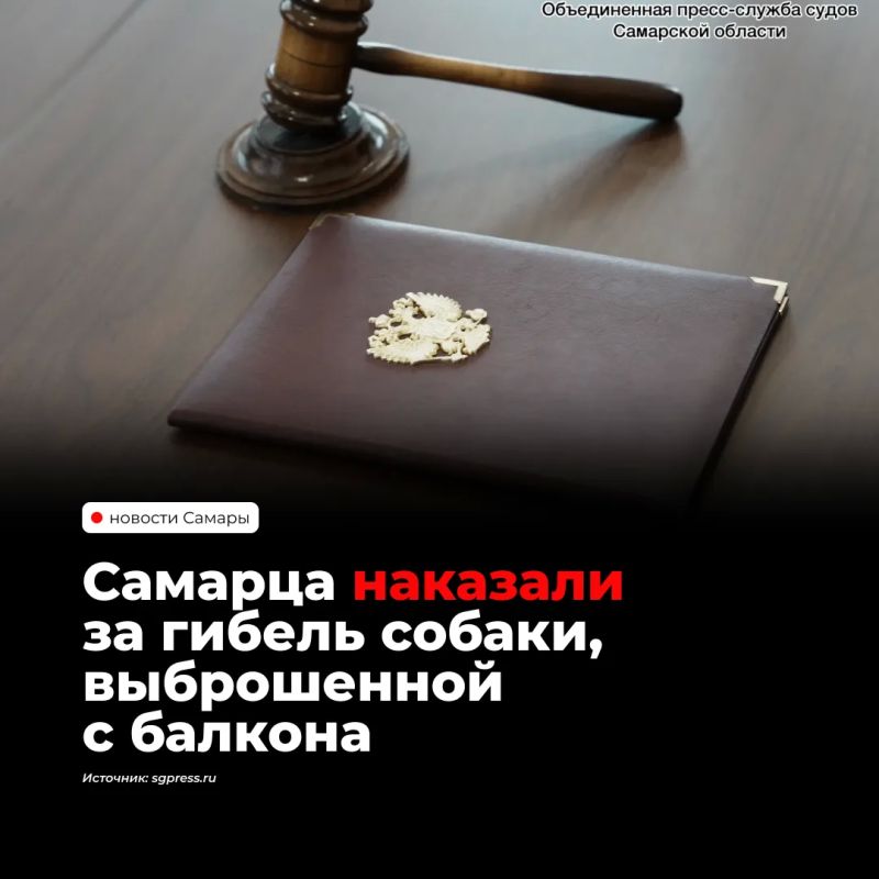 В Самаре мужчину приговорили к 100 часам обязательных работ за жестокое обращение с животным