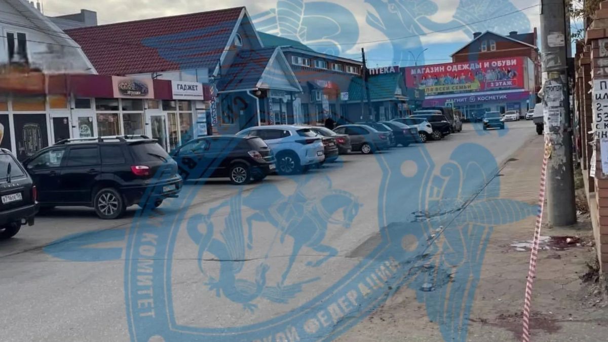 «Может быть опасен для общества»: в Красноярском районе 18-летний парень зарезал водителя на парковке «Может быть опасен для общества»: в Красноярском районе 18-летний парень зарезал водителя на парковке