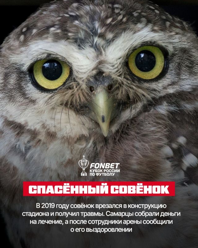 Гарри Кейн, Андрей Аршавин и Александр Мостовой Гарри Кейн, Андрей Аршавин и Александр Мостовой