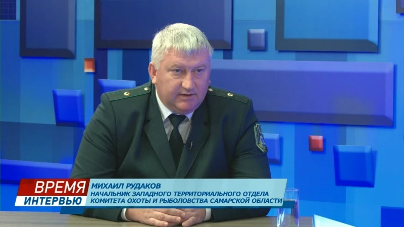 «Из диких животных чаще всего в ДТП попадают парнокопытные, и явные лидеры здесь – косули и лоси во время гона»