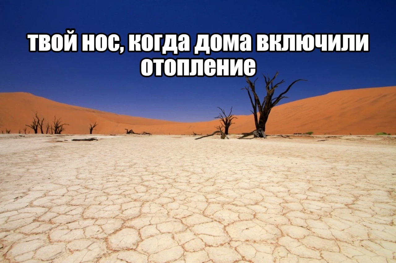 Сухость, корки и постоянные простуды: как уберечь нос в сезон отопления